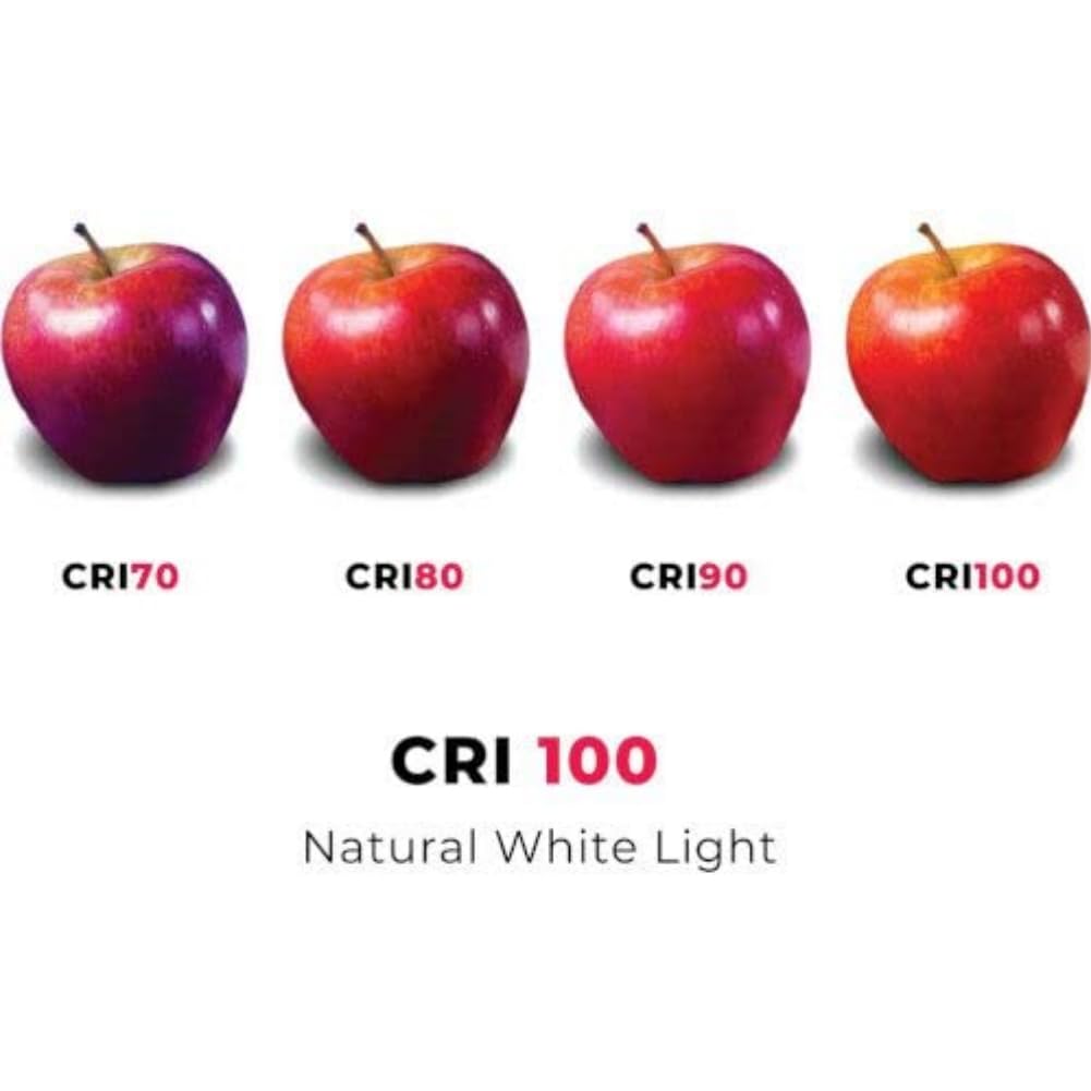 Osram 64432 Halostar Starlite 2000 GY6.35 35W 12V 929 Extra Warm White Best Colour Rendering