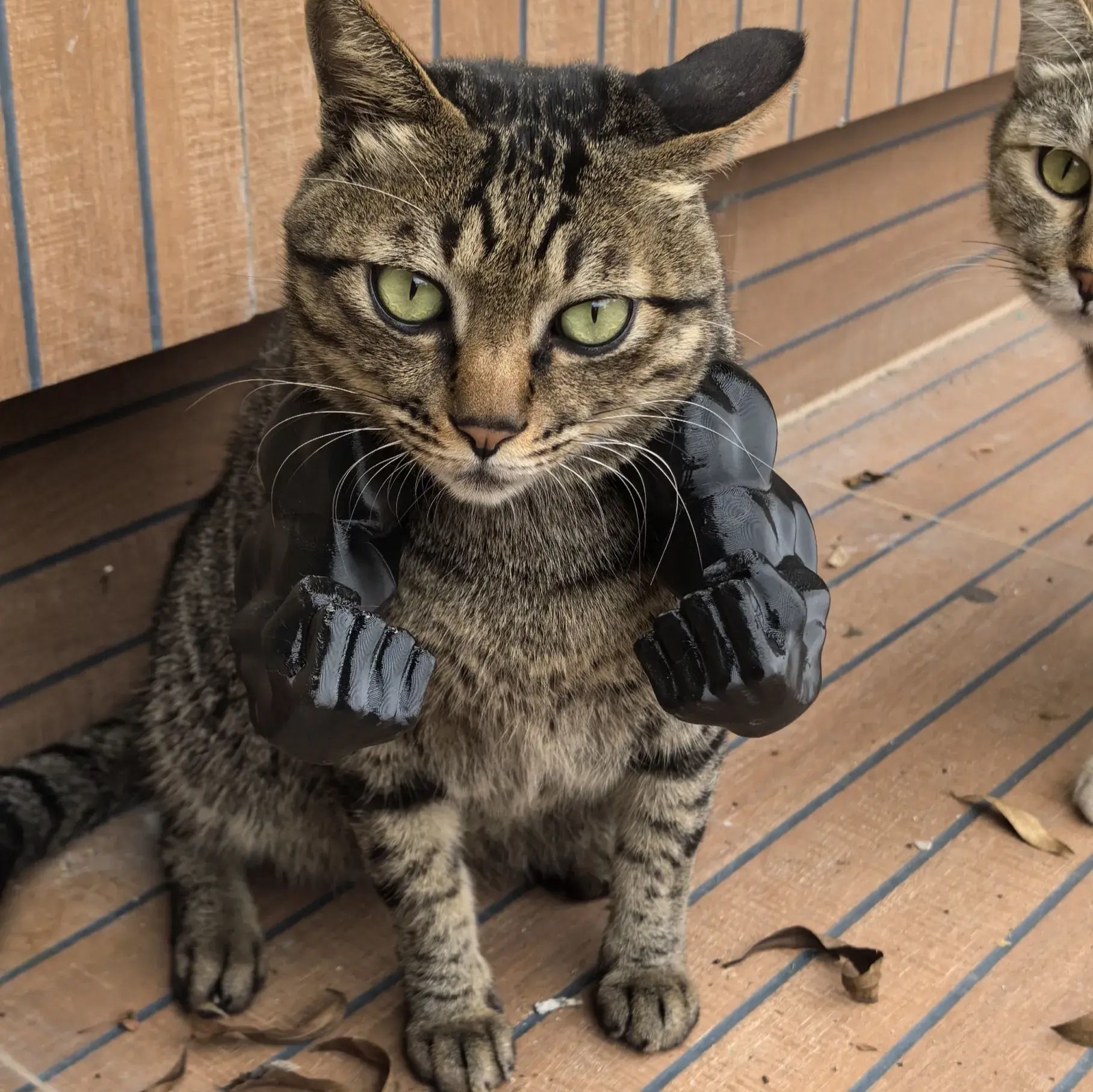 3D printed Hulk Cat Arm Black