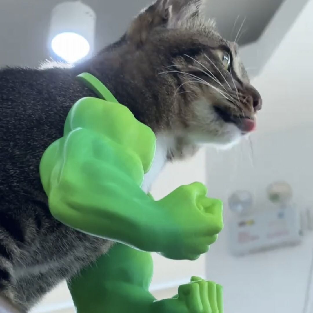 3D printed Hulk Cat Arm White