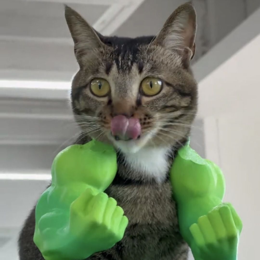 3D printed Hulk Cat Arm White