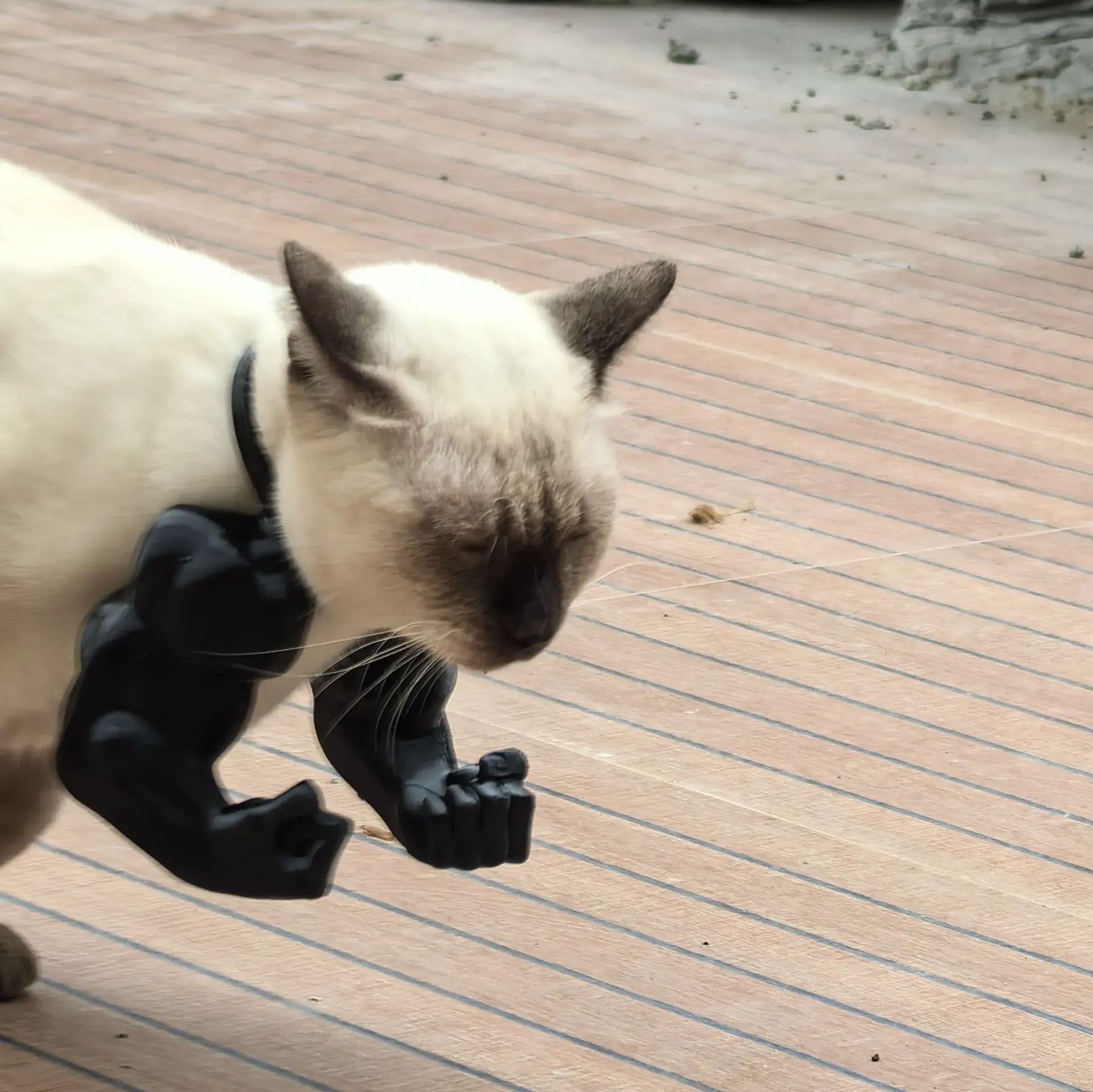 3D printed Hulk Cat Arm White