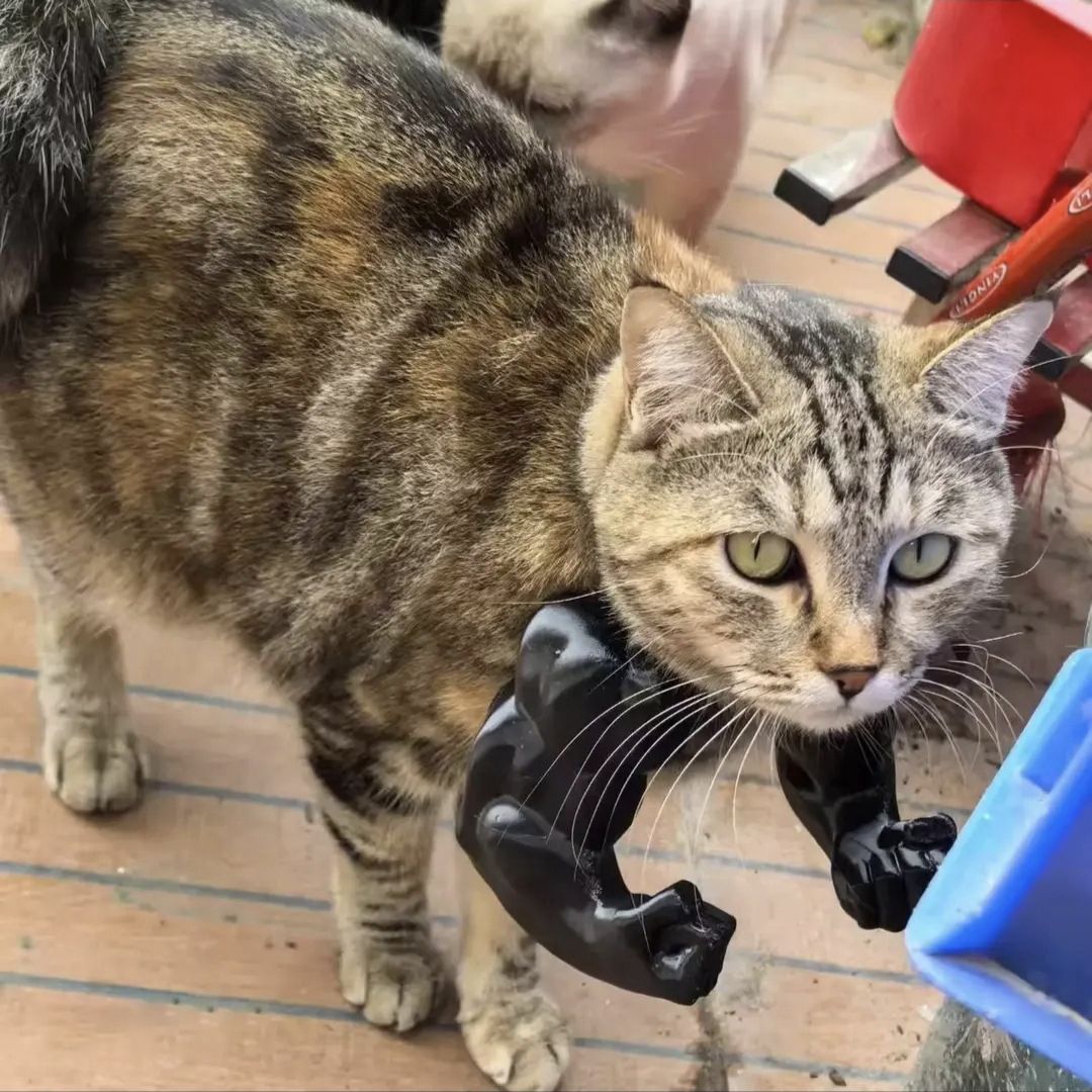 3D printed Hulk Cat Arm White