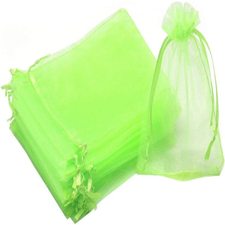 FruitGreenInsect-ProofMeshBags,20-Pack