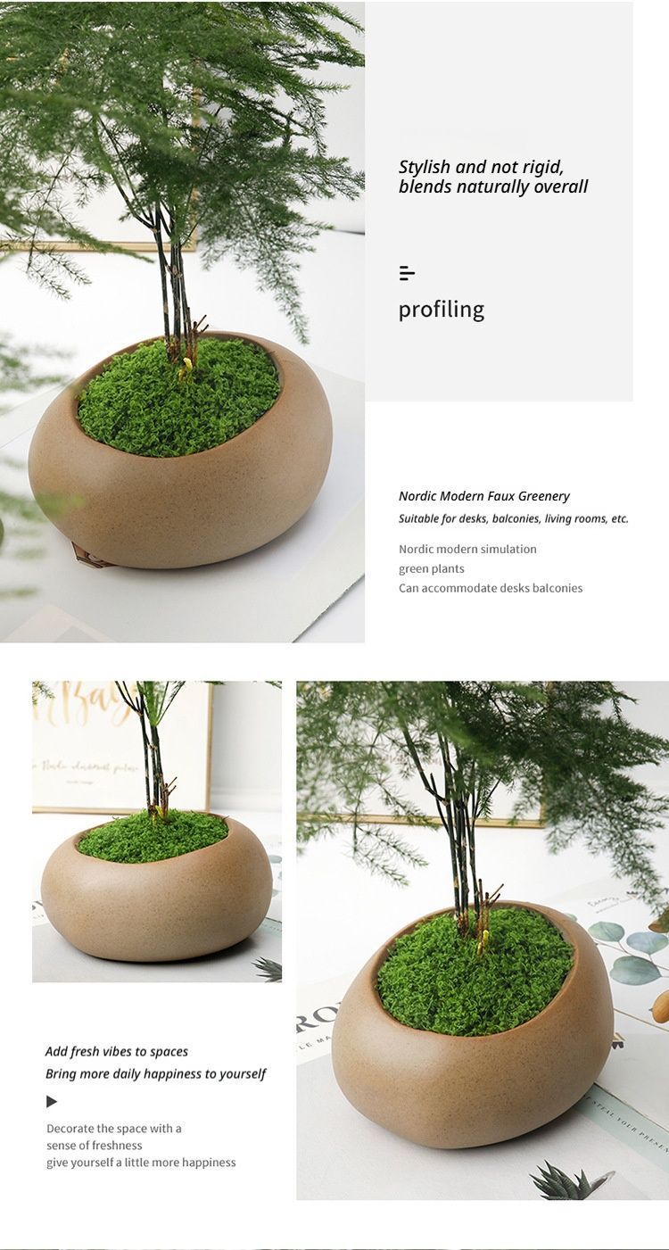diy artificial moss lawn-Dark Green Filamentous Moss 1000g Bulk