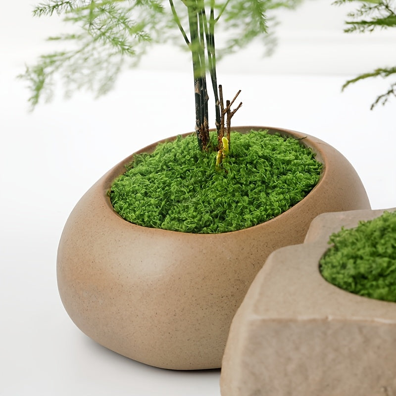 diy artificial moss lawn-Light Green Filamentous Moss 200g