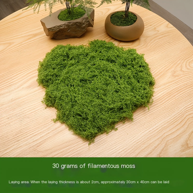 diy artificial moss lawn-Light Green Filamentous Moss 20g