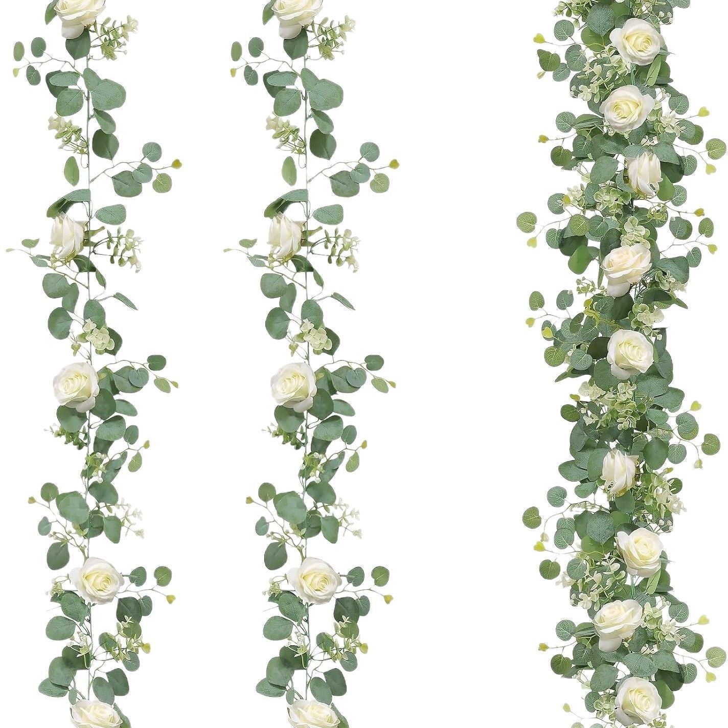 Eucalyptus with Flowers - A