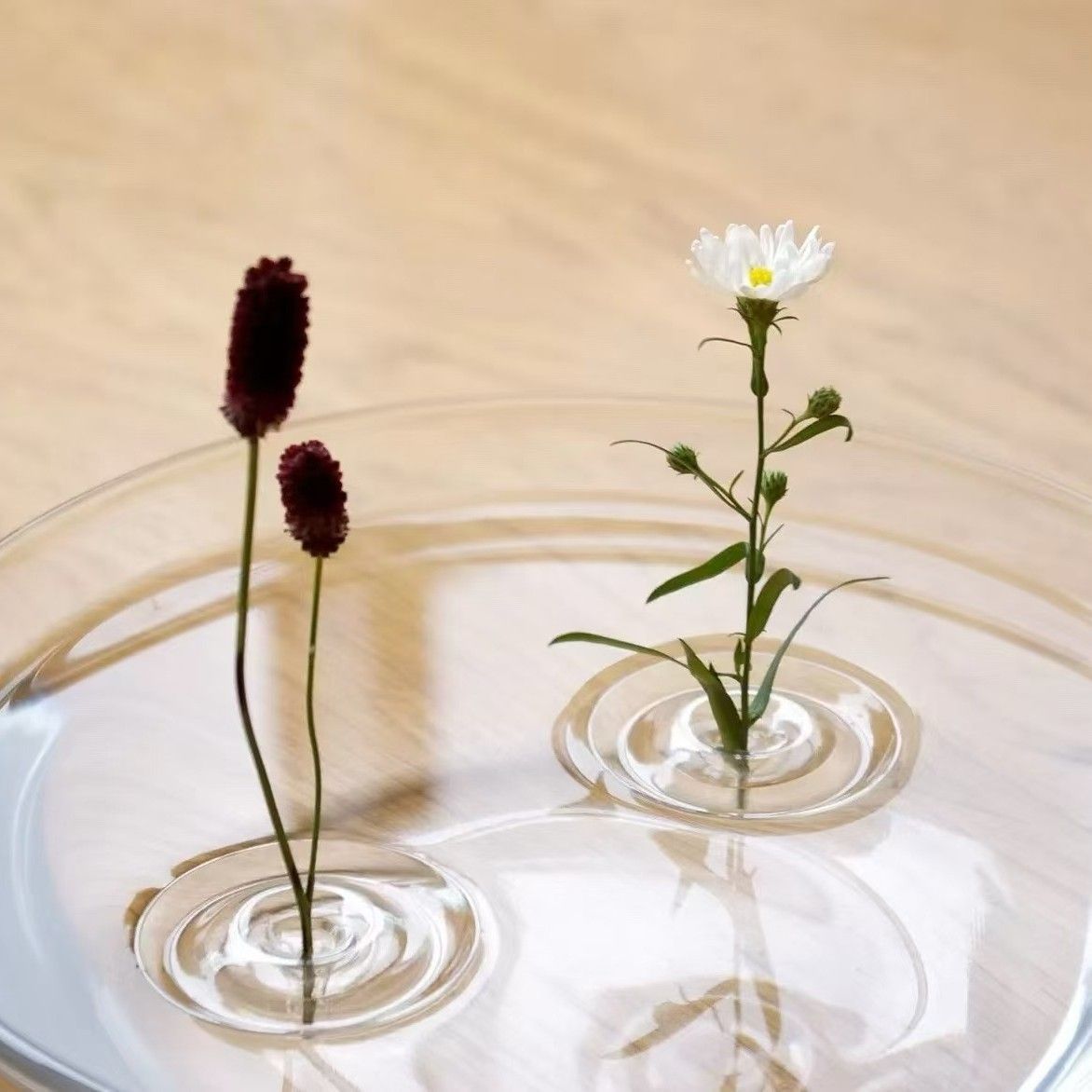 Flower Hydroponic Vase Large
