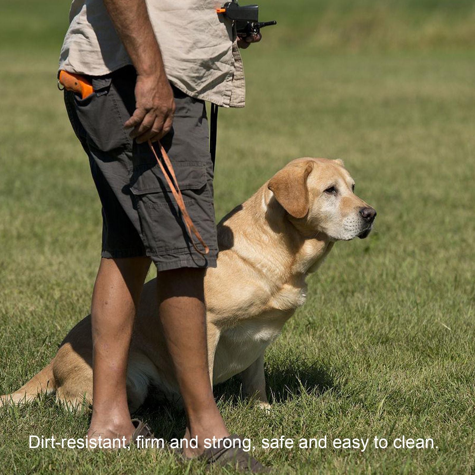Pet snack bag-C