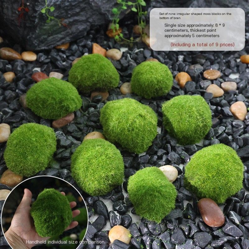 SimulatedSetofSixMossBlocks