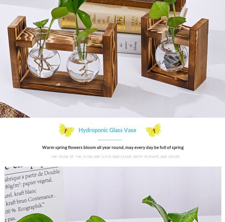 HydroponicWoodenFramewithSnap-On-SphericalTripleBottle