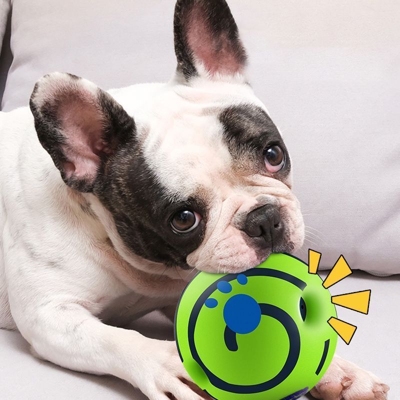14cm Dog Squeaky Ball OPP Bag