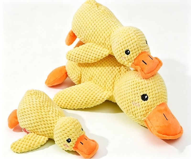 Small & Large Plush Ducks with Rope Carrot