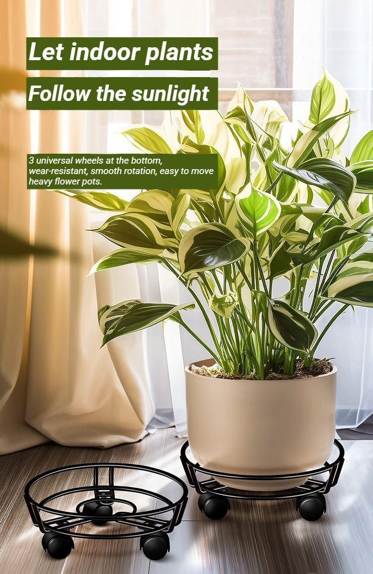 Black Round Wheel Plant Caddy