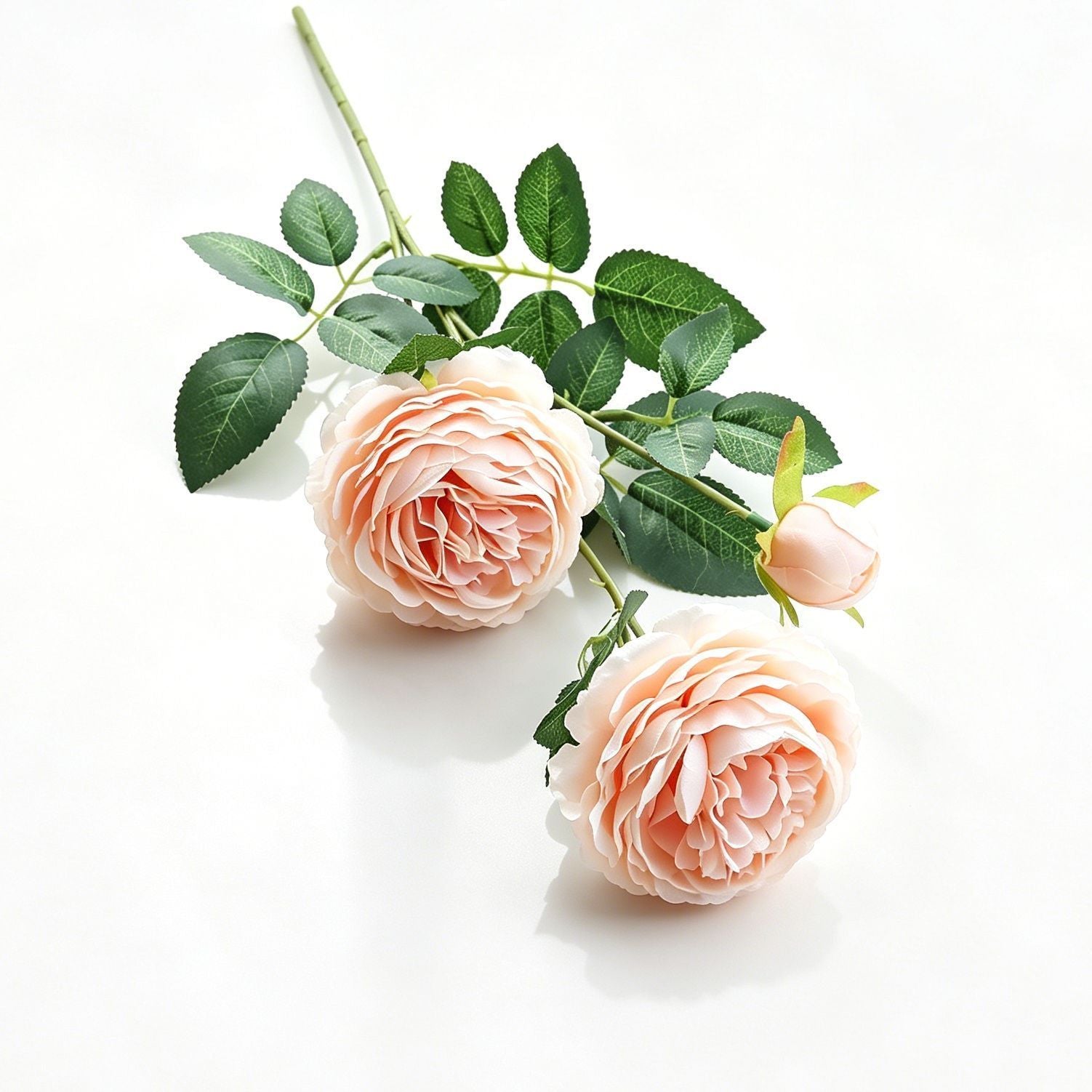 Artificial Champagne French Peony, Gentle Decor, 2 Pack