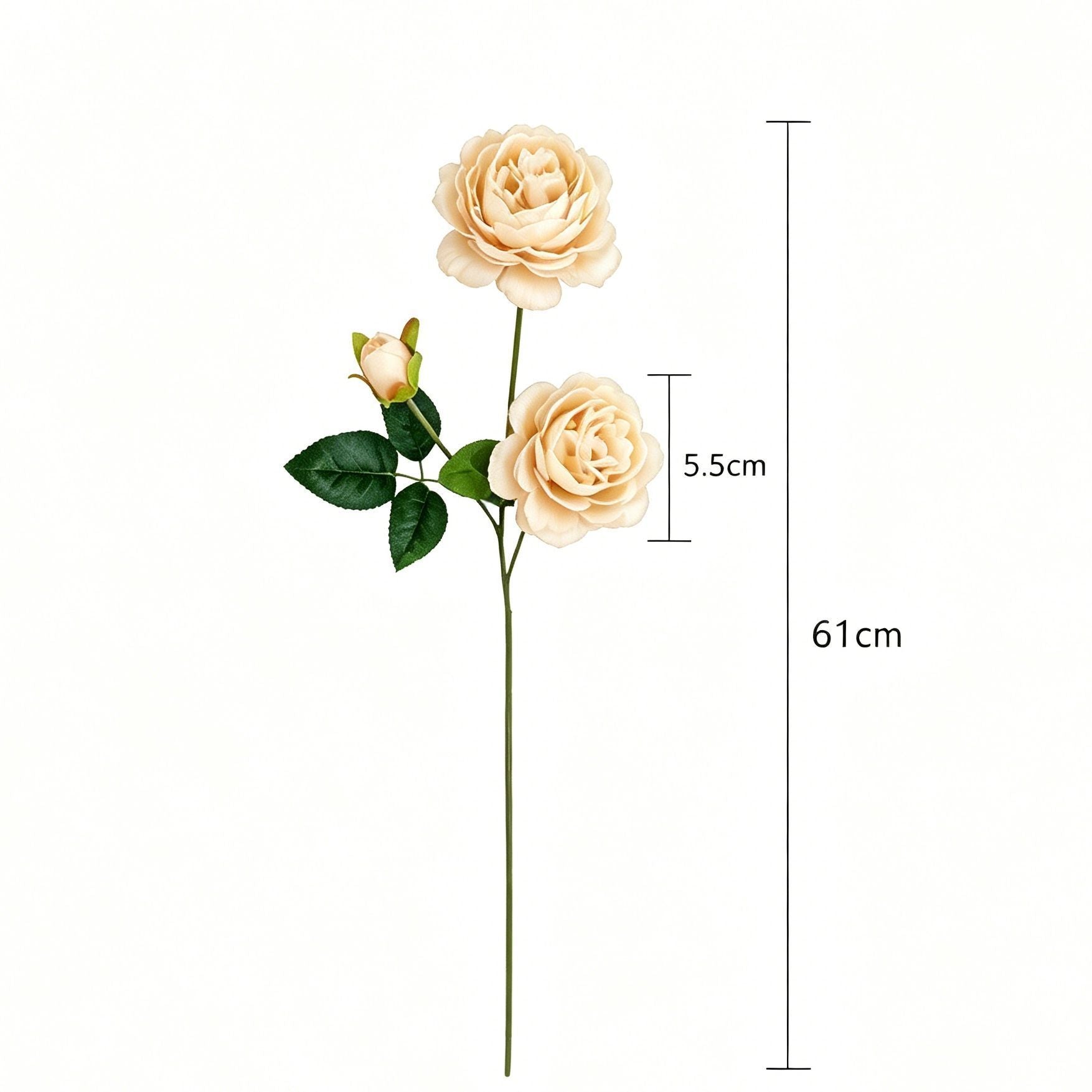Artificial Champagne French Peony, Gentle Decor, 3 Pack