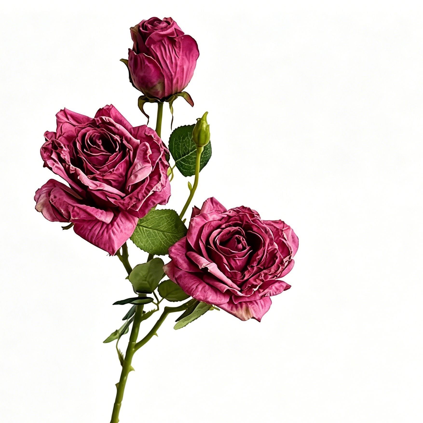 Vintage Burnt Edge Artificial Rose, Fuchsia Romantic Decor, 3 Pack