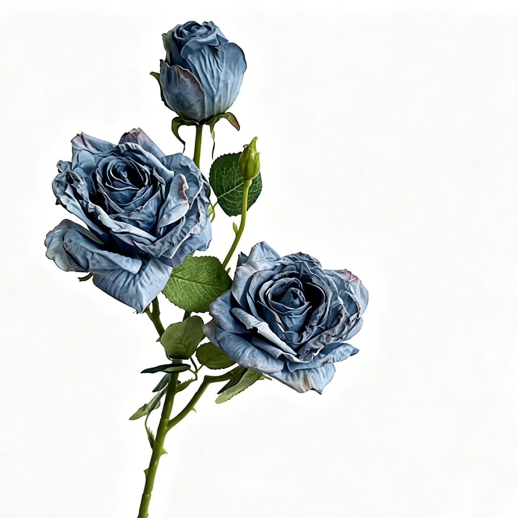 Vintage Burnt Edge Artificial Rose, Blue Calming Decor, 5 Pack