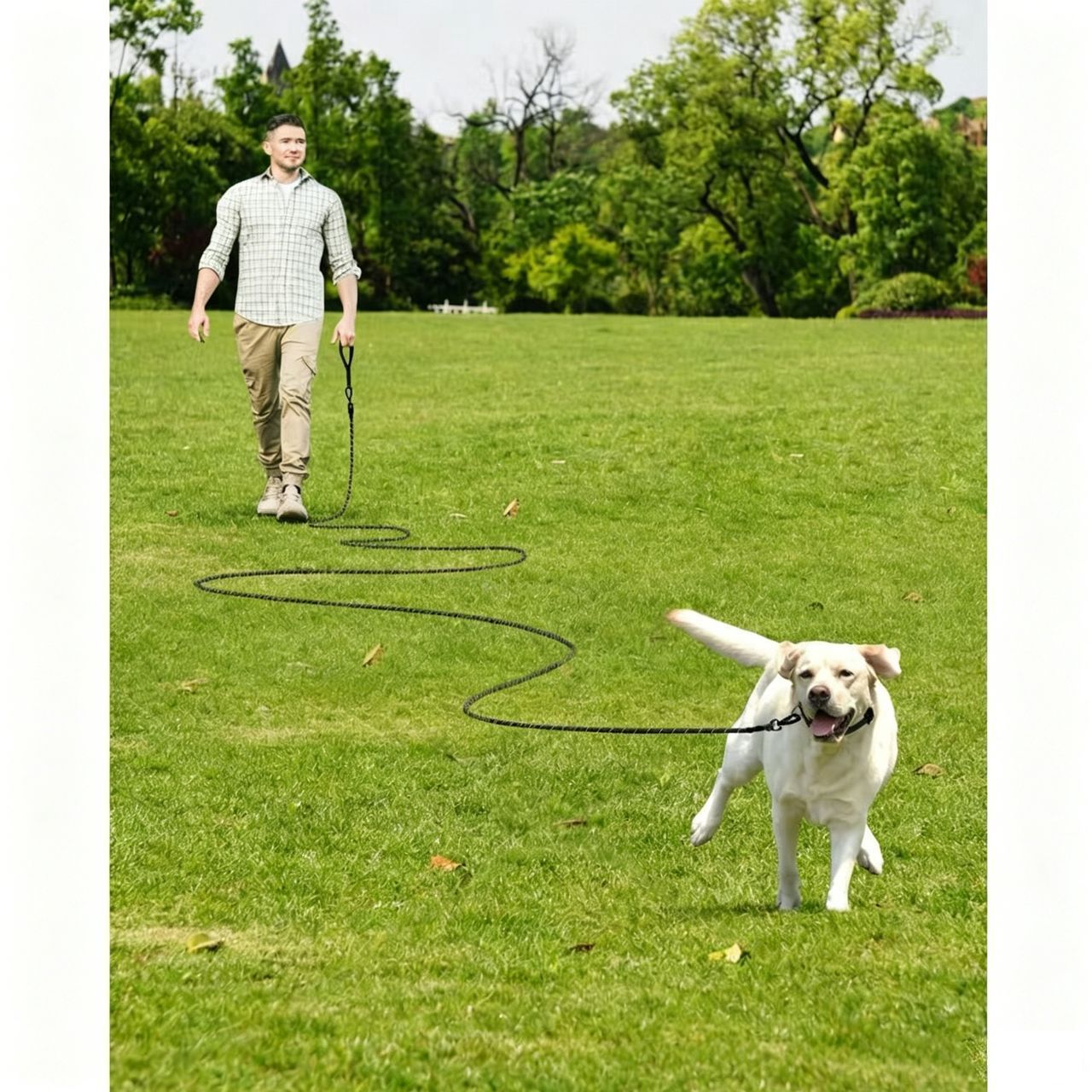 Large Dog Leash Sky Blue