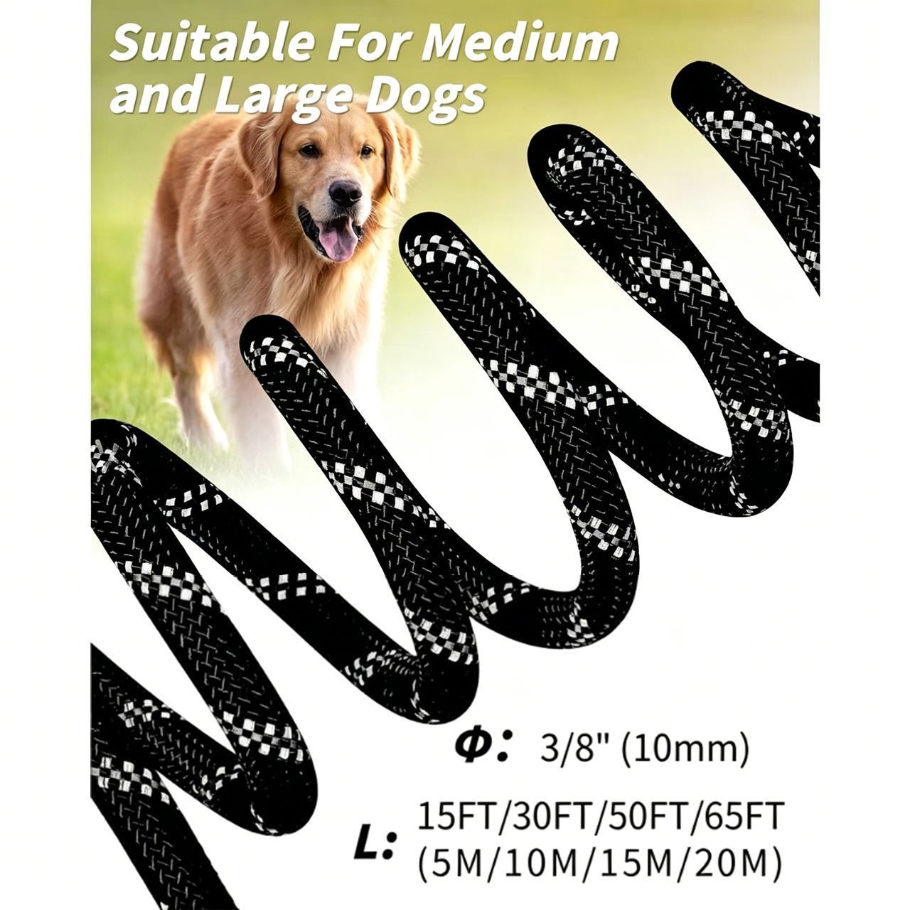 Large Dog Leash Sky Blue 01