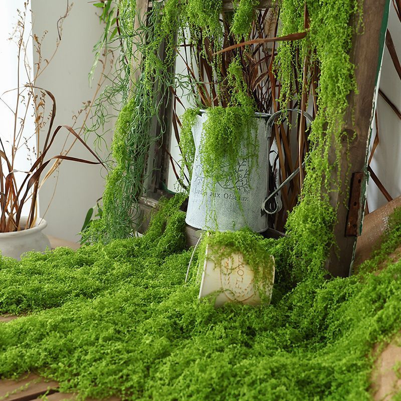 50g Dark Green Artificial Moss
