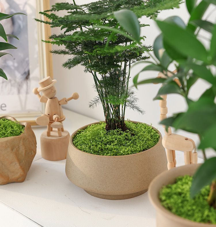 100g Light Green Artificial Moss