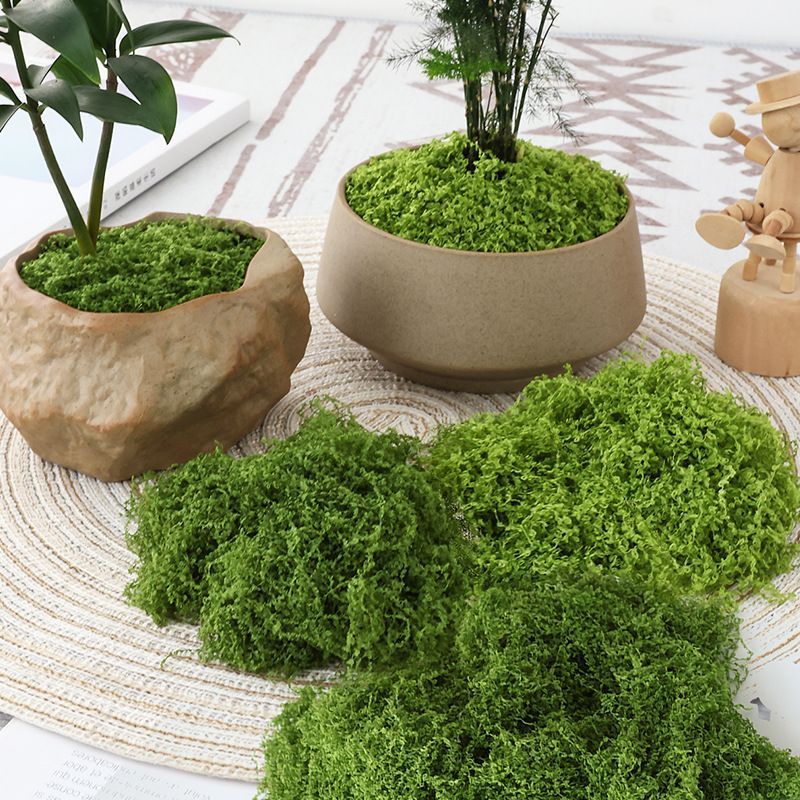 Dark Green Artificial Moss 50×50cm