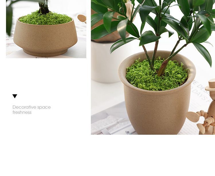 Dark Green Artificial Moss 50×50cm