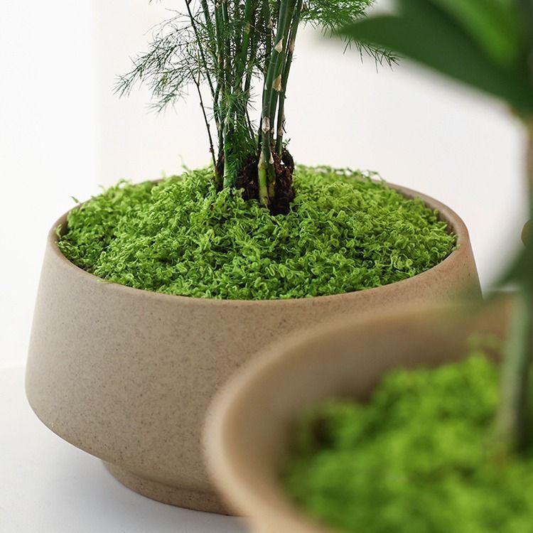 Dark Green Artificial Moss 50×100cm