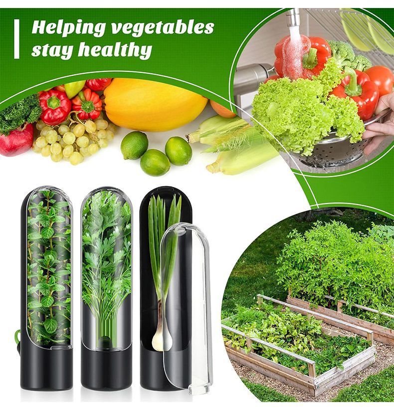 4Pcs Herb & Vegetable Fresh Storage Containers-Pink