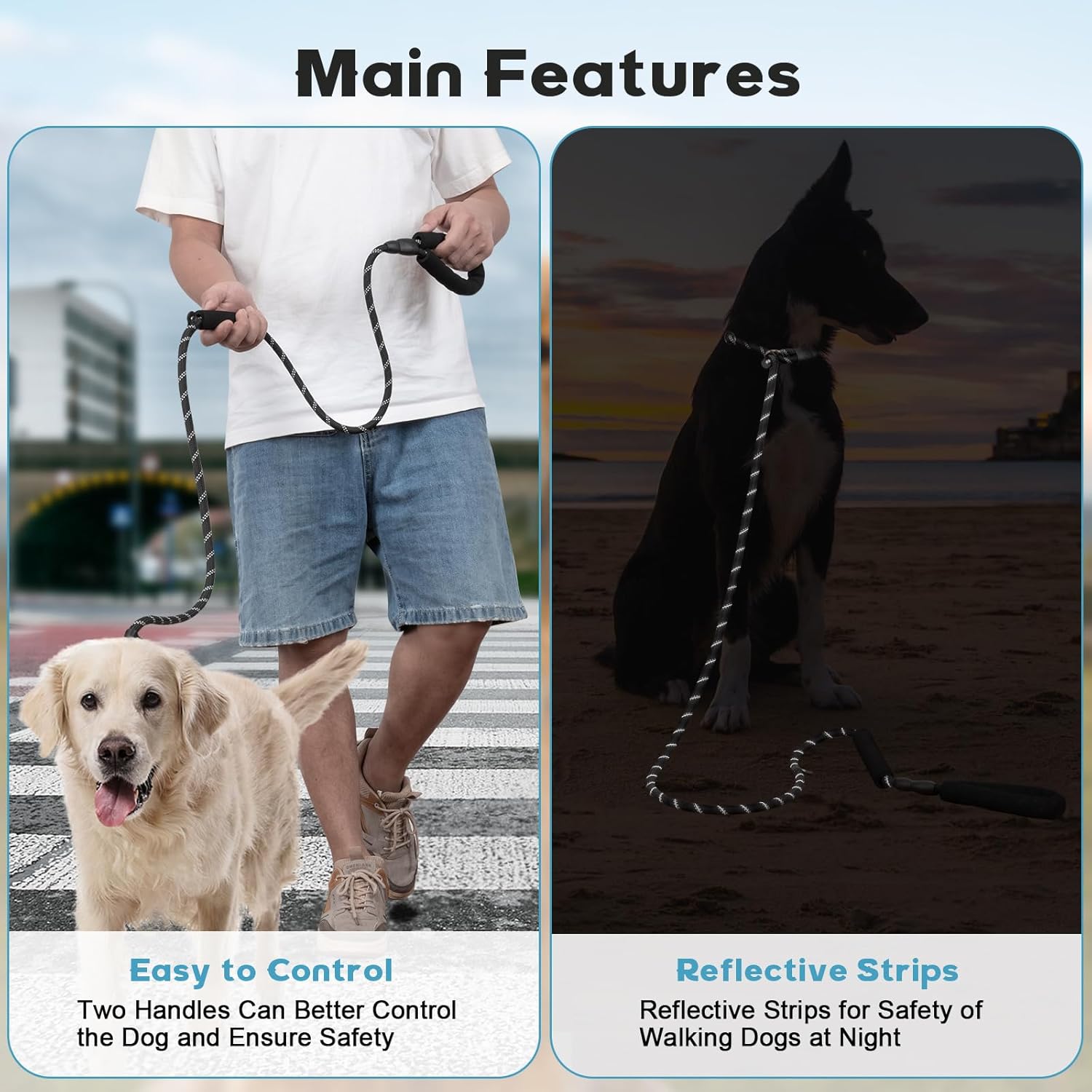 Dog Leash 6 FT with Comfortable Padded Handle, Training Loop Leash with Highly Reflective Threading for Medium Dogs, Black