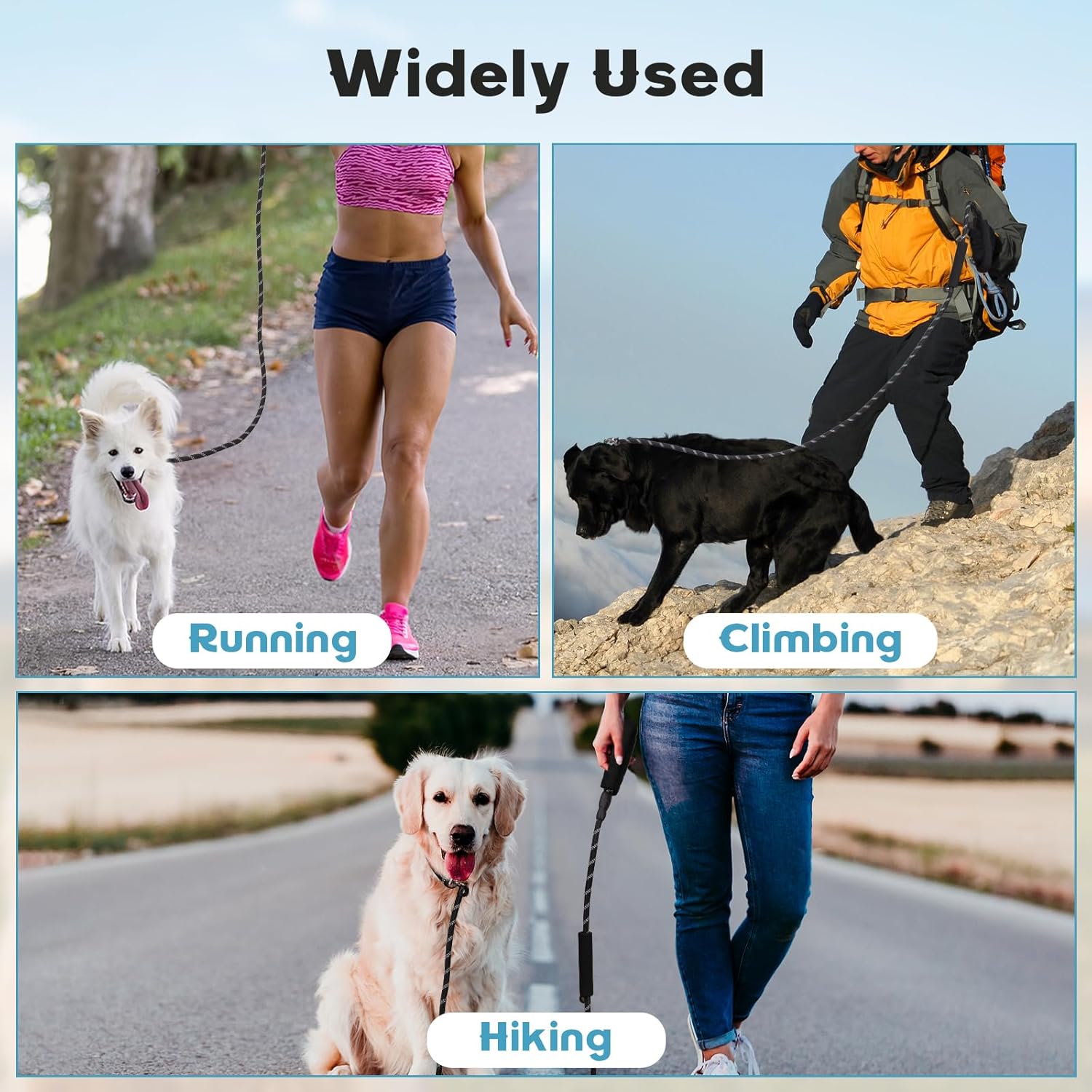 Dog Leash 6 FT with Comfortable Padded Handle, Training Loop Leash with Highly Reflective Threading for Medium Dogs, Black