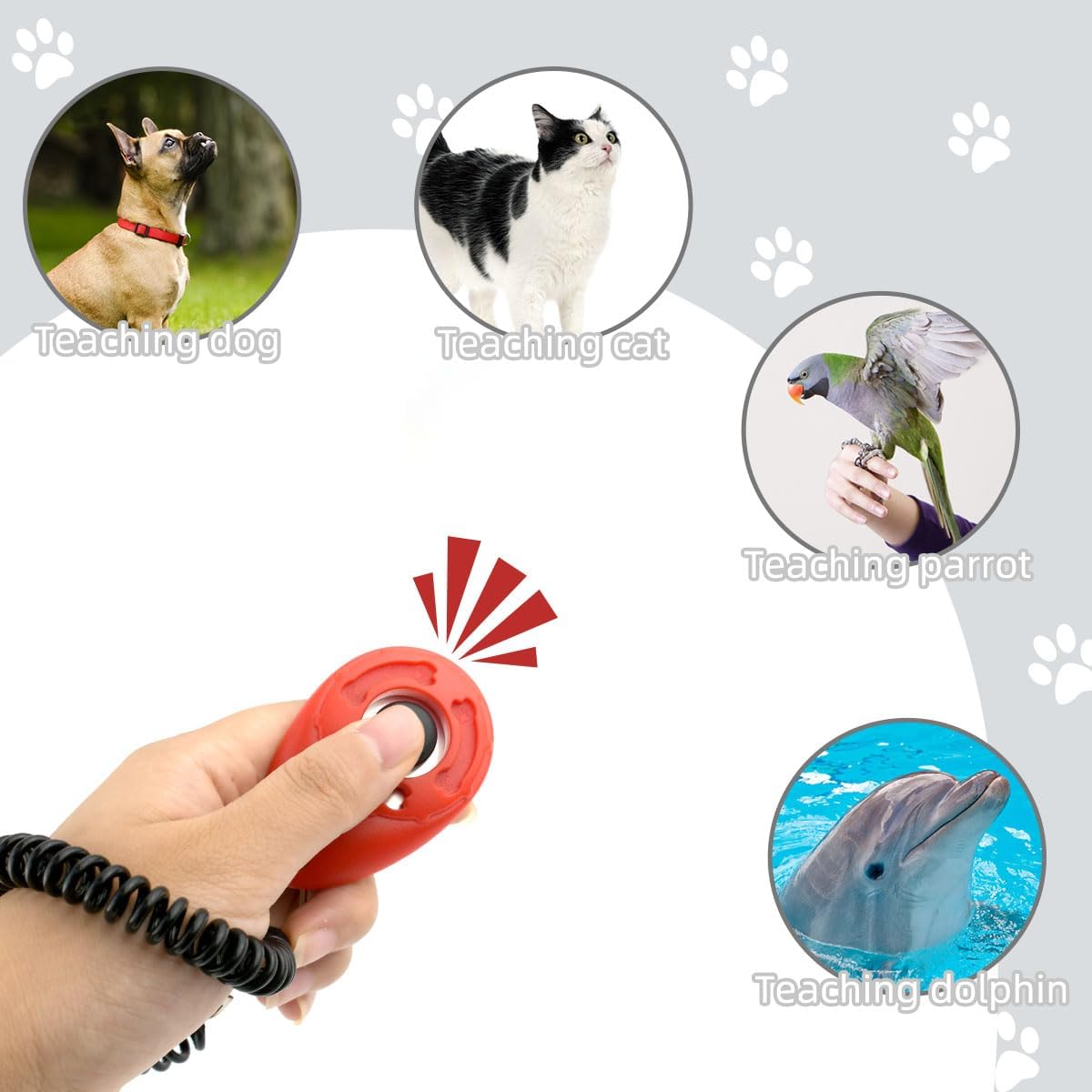 Petluno 4 Pieces Pet Training Clicker with Wrist Strap and Dog Treat Pouch for Puppy Cats Birds Kit Behavioral White, Red, Orange, Blue