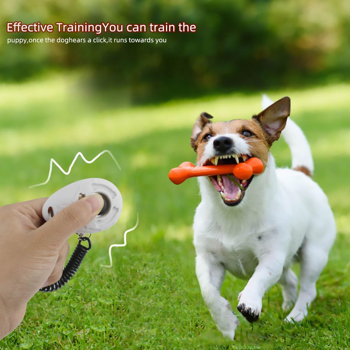 Petluno 4 Pieces Pet Training Clicker with Wrist Strap and Dog Treat Pouch for Puppy Cats Birds Kit Behavioral White, Red, Orange, Blue