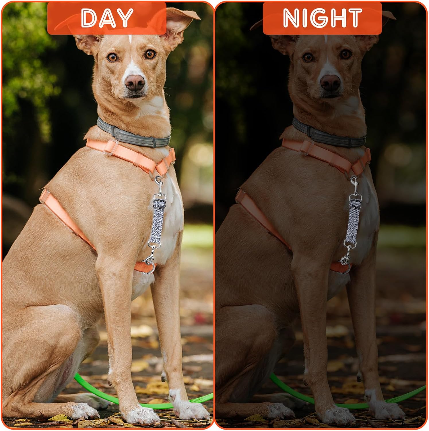 2 PCS Prong Collar Safety Clip Leash to Prong Collar Connector Dog Leash Connector Harness to Collars Safety Clip Reflective Double Ended Backup Clasp for Dog Pinch Collars