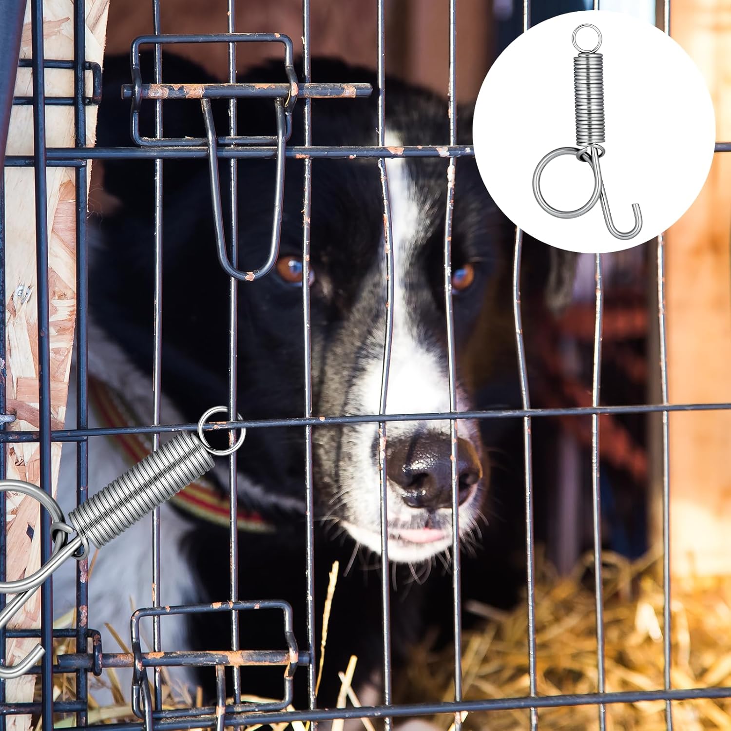 10 Pack Spring Cage Latch Door Spring Hook, Pet Door Latch Metal Finger Pet Cage Lock Wire Clips Rabbit Cages Accessories for Rabbit, Dog, Cat, Parrot, Guinea Pig, Small Animal Cages Doors Large