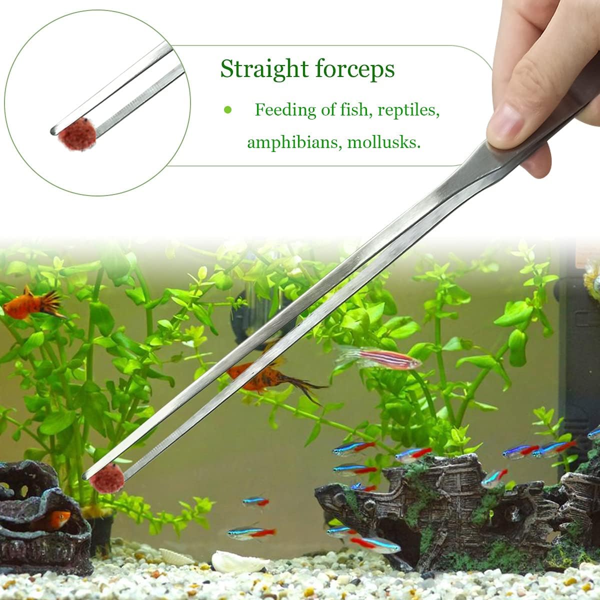 2 Pcs Feeding Tongs, Aquarium Tweezers Stainless Steel Straight and Curved Tweezers Set 27cm/10.6 inches Aquascaping Tools for Hold Worms, Reptiles, Lizards, Bearded Dragon Silver