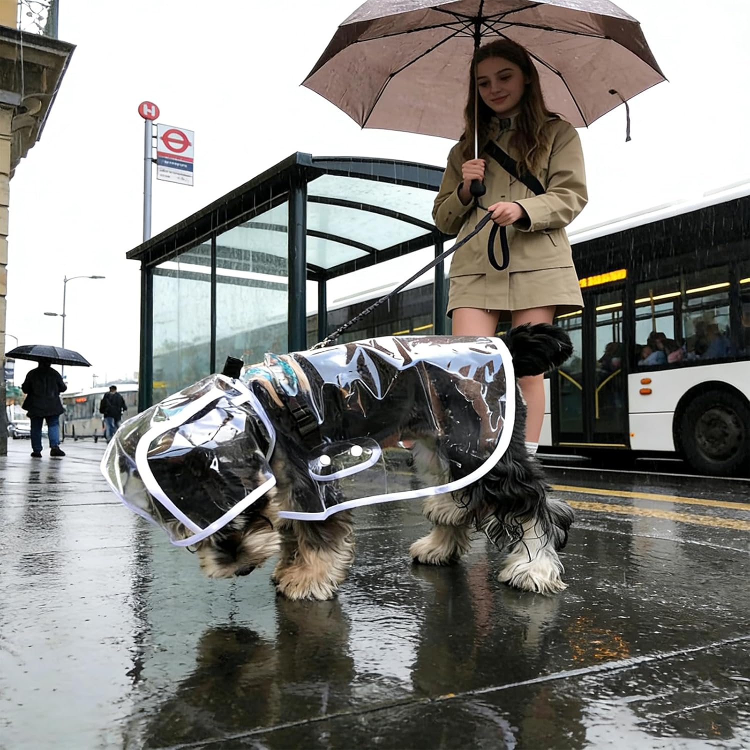 Clear Dog Rain Poncho for Small Medium Dogs - Heavy Waterproof Raincoat with Hidden Leash Hole & Adjustable Snaps - Transparent, Pet Hooded Cape for Bichon Poodle 4-8lbs
