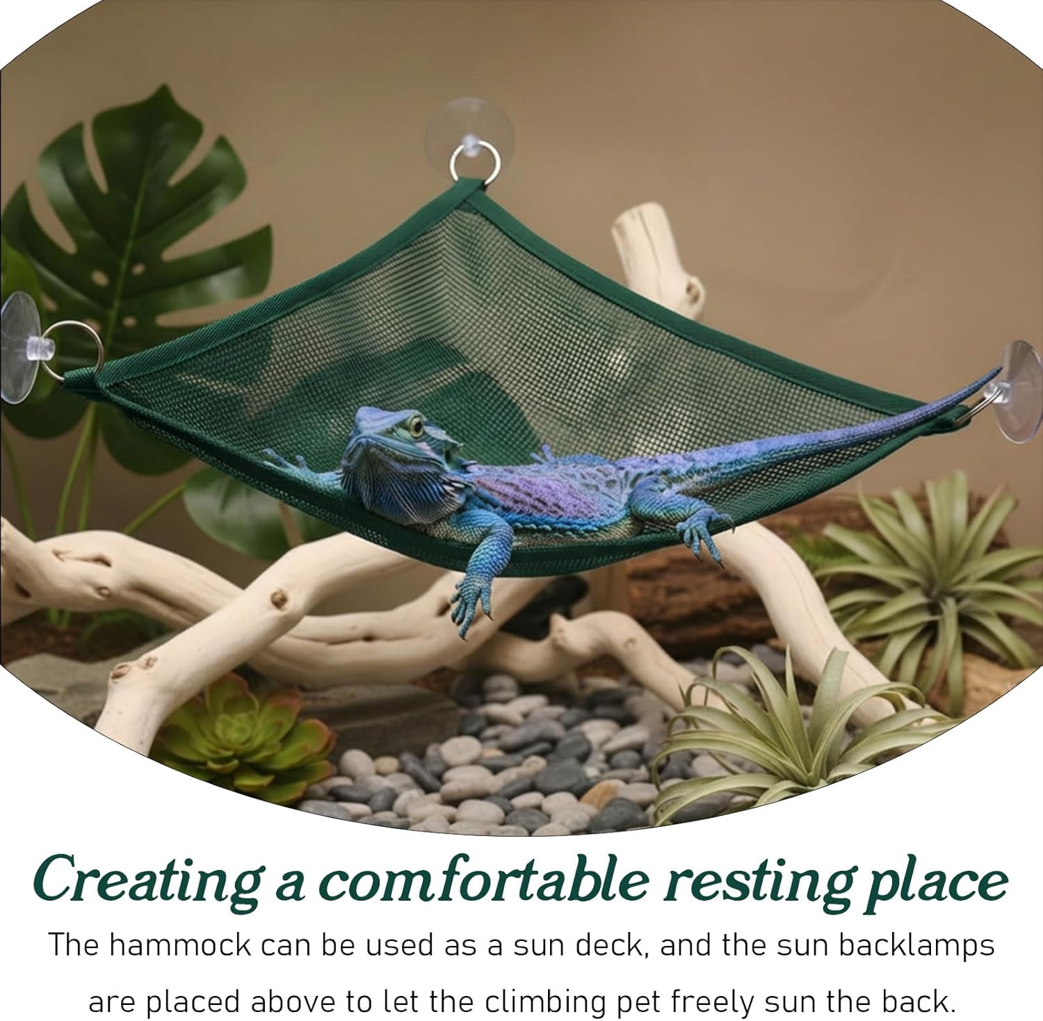 2Pcs Reptile Hammock - Breathable Mesh Bearded Dragon Hammock Lizard Tank Accessories Triangle Geckos Hammocks for Bearded Dragons Snakes Axolotls Green