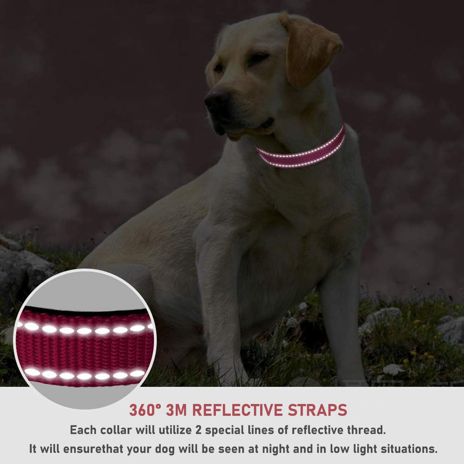 Reflective Dog Collar with Buckle Adjustable Safety Nyl Collars for Small Medium Large Dogs, Pink S