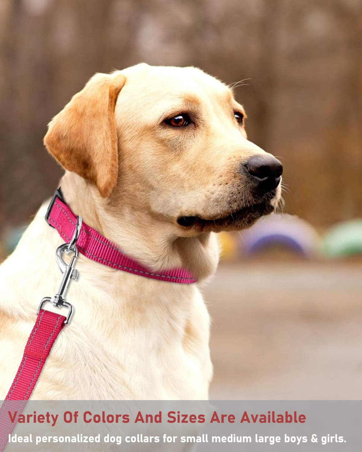 Reflective Dog Collar with Buckle Adjustable Safety Nyl Collars for Small Medium Large Dogs, Pink S
