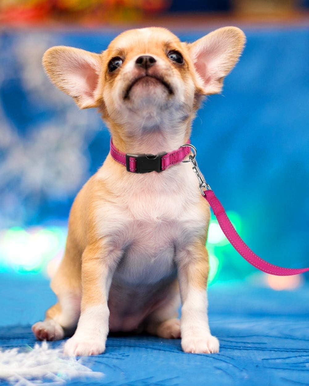Reflective Dog Collar with Buckle Adjustable Safety Nyl Collars for Small Medium Large Dogs, Pink S