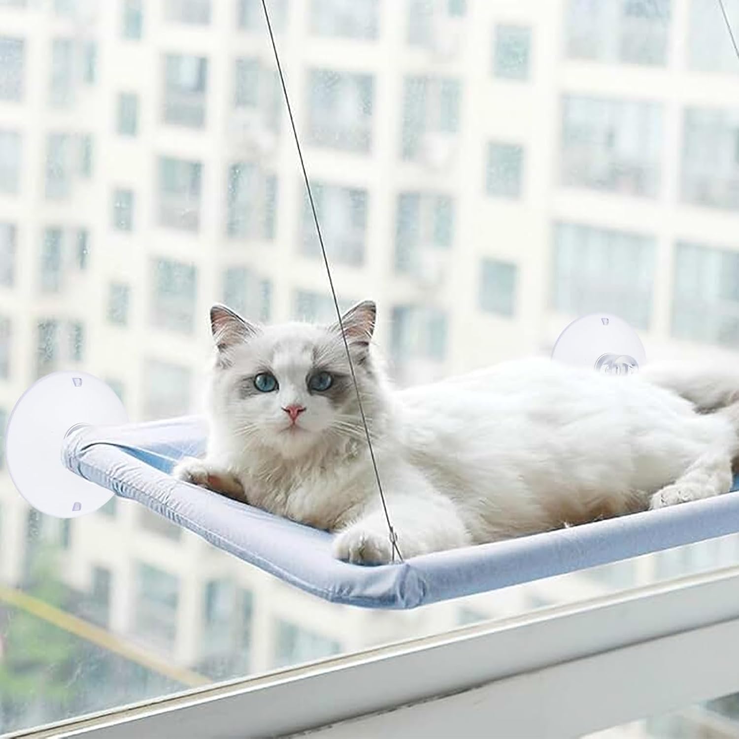 4 PCS Window Perch Suction Cup Large Replacement Clear PVC Sucker Pads Powerful Suction Cups for Cat Window Bed Seat Hammocks