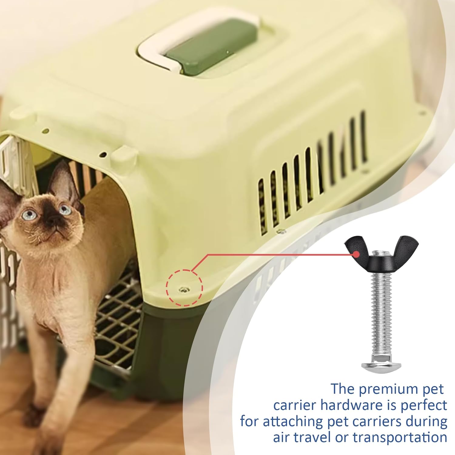 M6 Pet Carrier Fasteners Kennel Replacement Bolts for Plastic Cat Crate and Dog Crate Dog Kennel Accessories Cat Cage Carrier Parts 12 Set