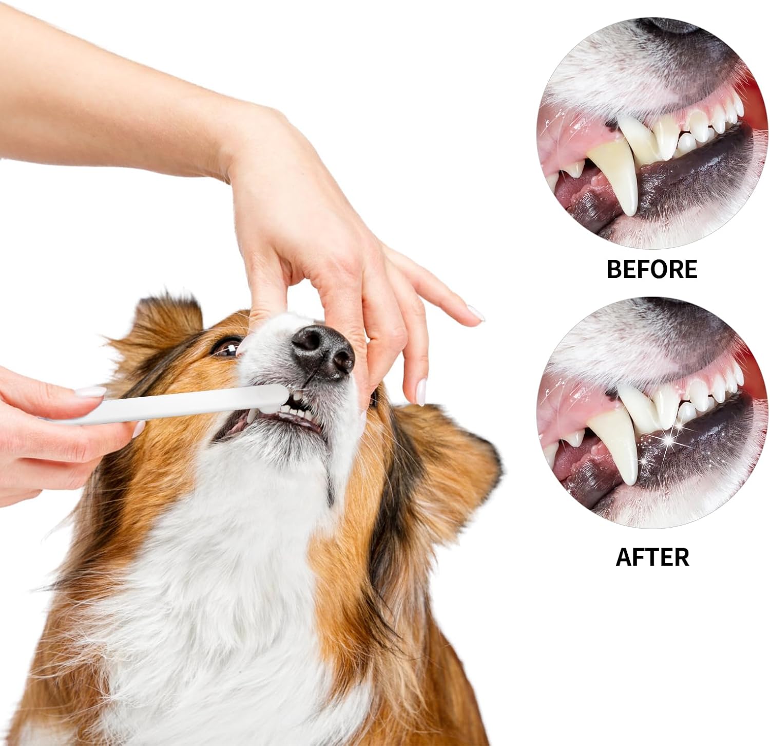 Petluno Small Dog & Cat Toothbrush 5 Set, Micro Nano Bristles to Clean pet Teeth Toothbrushes, Puppy Dogs Pet Tooth Cleaning Kit with Storage Box White