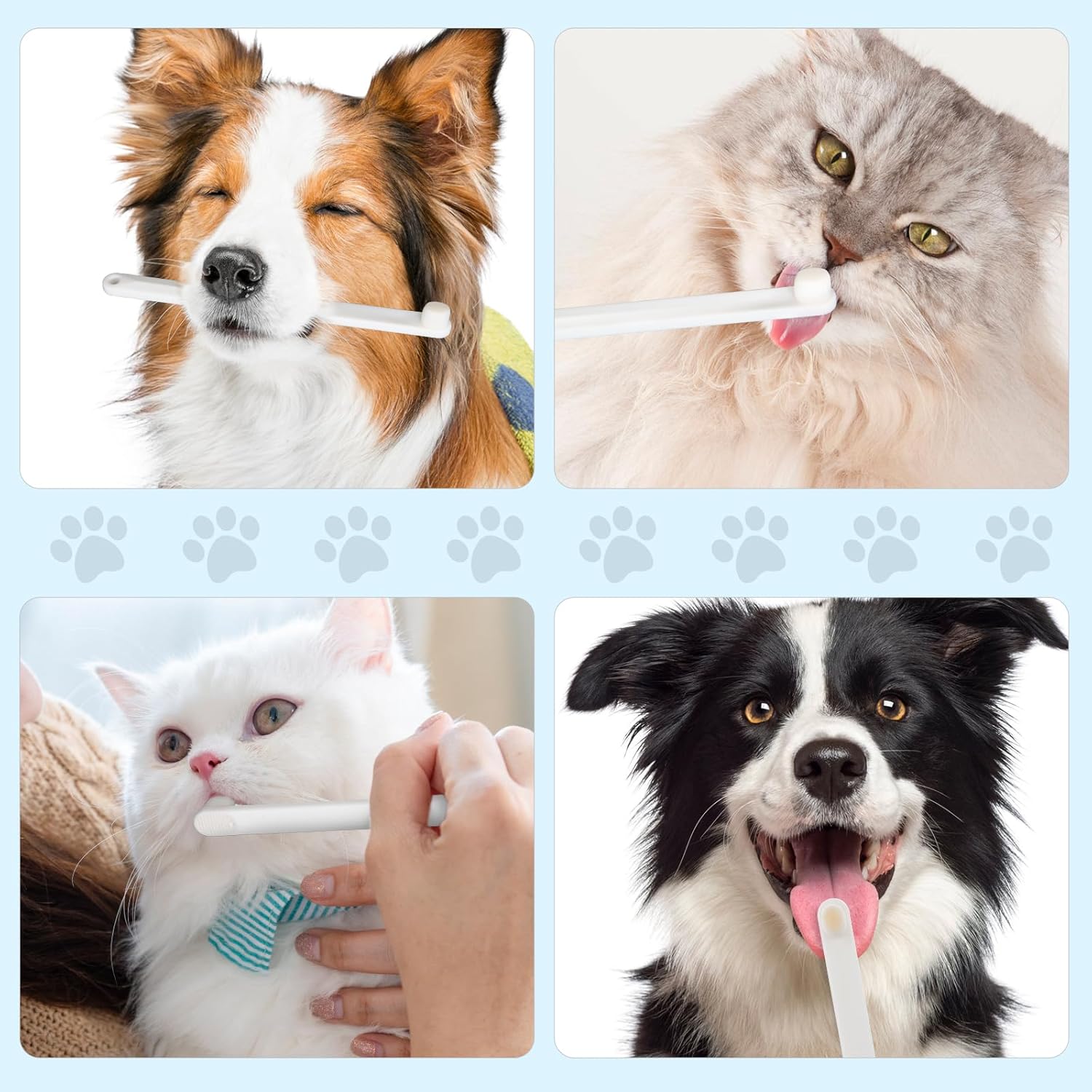 Petluno Small Dog & Cat Toothbrush 5 Set, Micro Nano Bristles to Clean pet Teeth Toothbrushes, Puppy Dogs Pet Tooth Cleaning Kit with Storage Box White