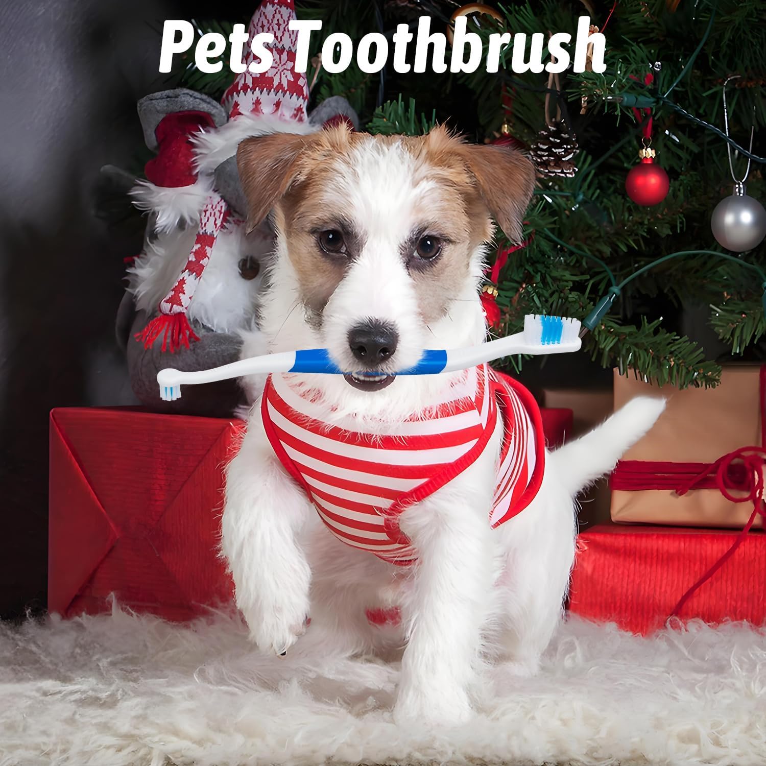 Petluno Pet Toothbrush for Dogs, Cats, Double Headed with Soft Bristles, Easy Teeth Cleaning, Non Slip Dog Toothbrushes in Bulk Pack of 6 6 Pcs