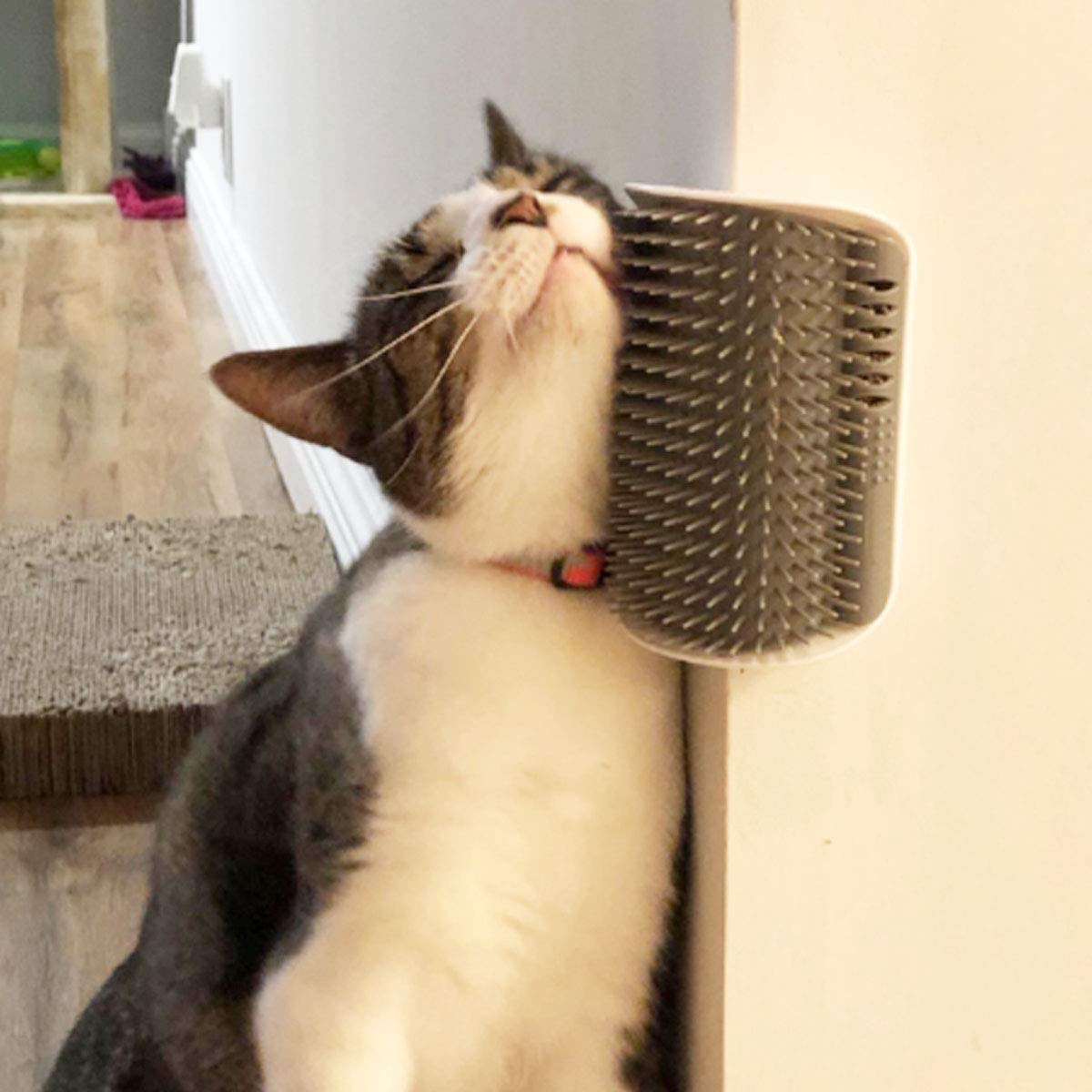 2 Pack Softer Self Groomer with Catnip Wall Corner Massage Comb Scratcher Grooming Brush Tool for Long & Short Fur Kitten Cats Dogs Gray
