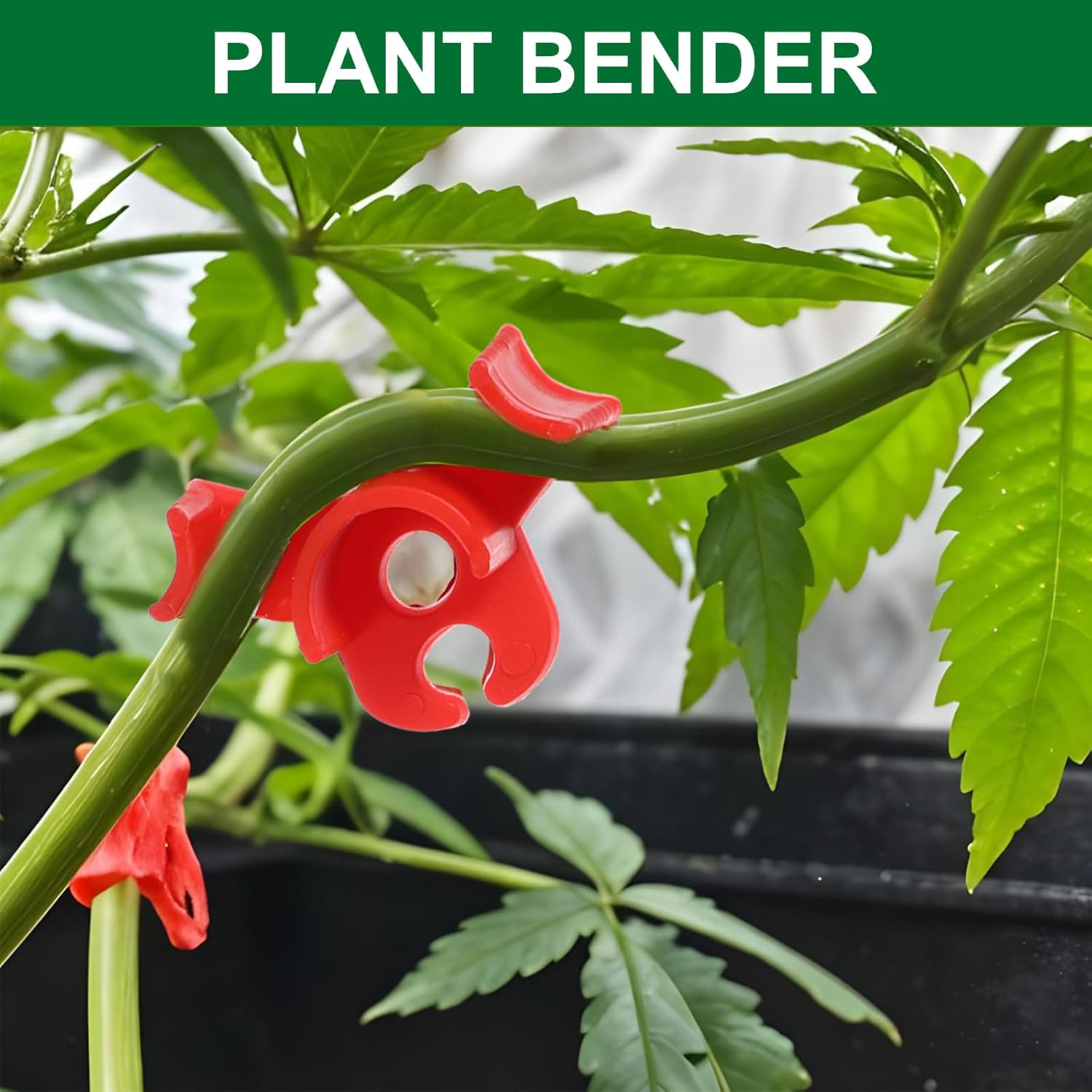 60Pcs Plant Training Clips, Reusable 90 Degrees Bud Trainer Lst Clips for Low Stress Training Plant Stem Support Bud Bender for Tomatoes Cucumbers Climbing Plants in Indoor Outdoor Gardens Red Green