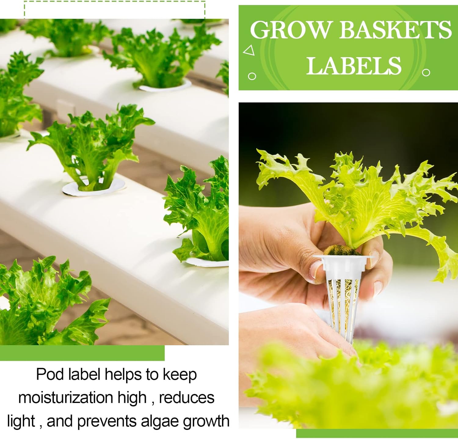 Cunhill 100 Pcs Hydroponic Growing Kit Include 50 Pcs Plant Replacement Basket Containers and 50 Pcs Seed Pot Label Compatible with Hydroponic Growing System 0.5 Inch,White